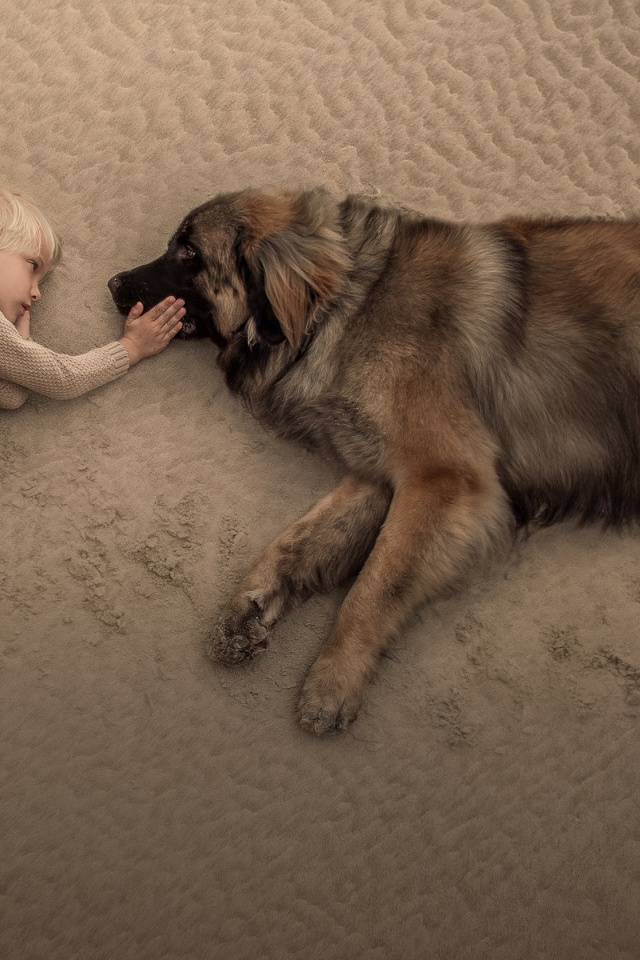 Маленький мальчик лежит на песке с большой собакой