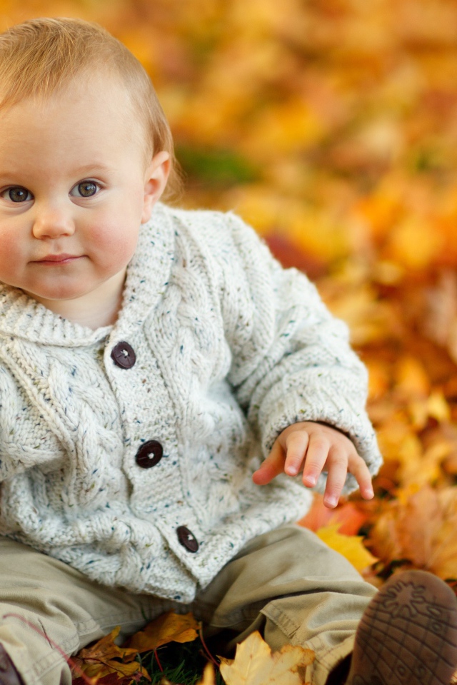 Маленький ребеной сидит на желтой опавшей листве осенью