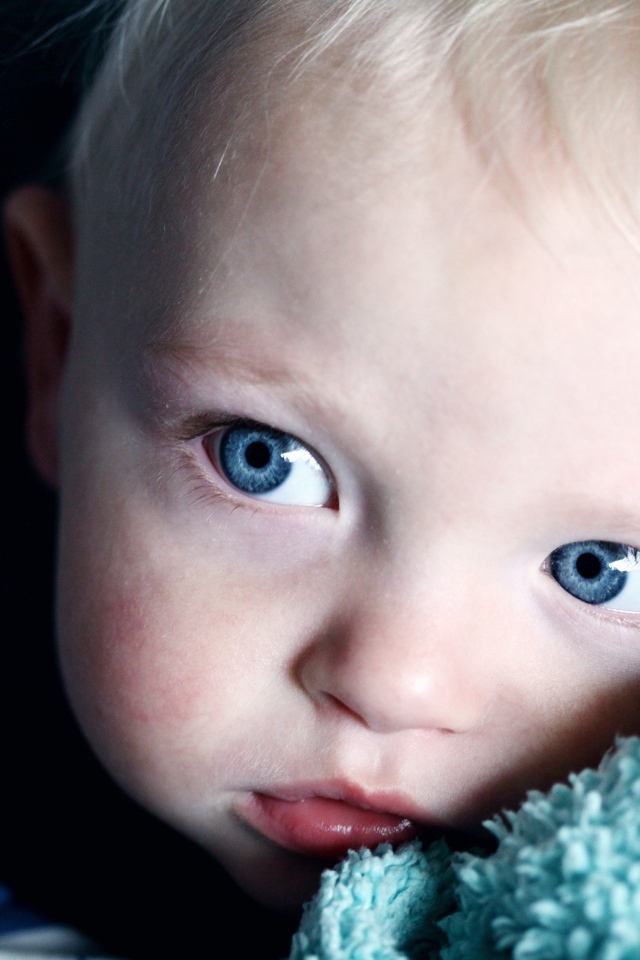 Маленький светловолосый мальчик с голубыми глазами