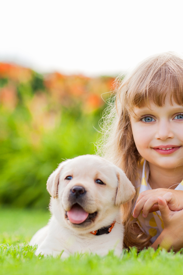 Милая маленькая девочка с щенком золотистого ретривера лежит на зеленой траве