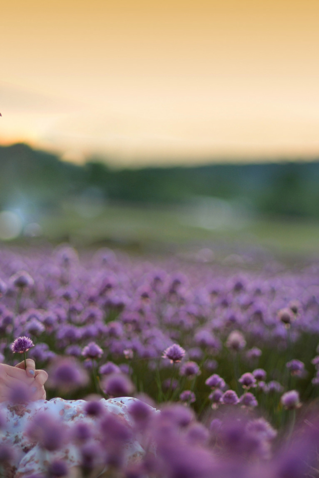 Нежная маленькая девочка сидит на поле с сиреневыми цветами