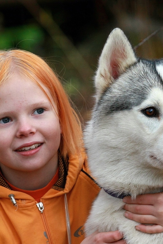 Маленькая рыжеволосая девочка с собакой породы хаски