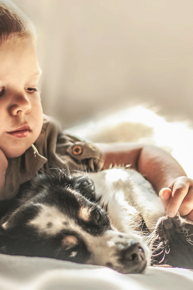 Маленький мальчик лежит с собакой и котом