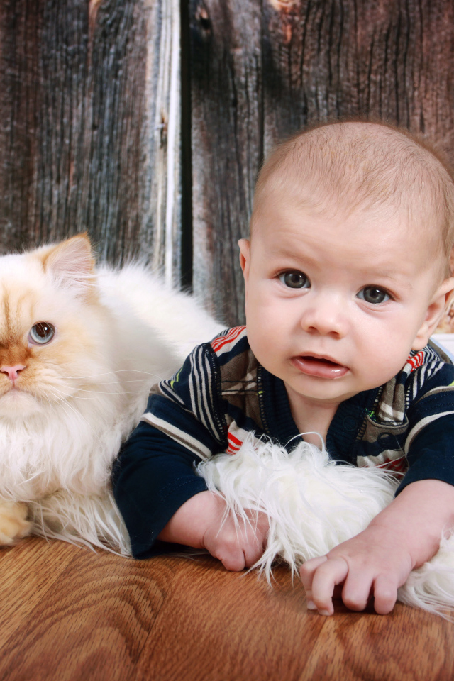 Маленький мальчик лежит на полу с котом 