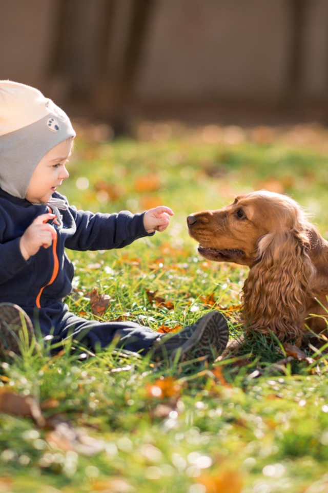 Маленький мальчик сидит на траве с собакой 