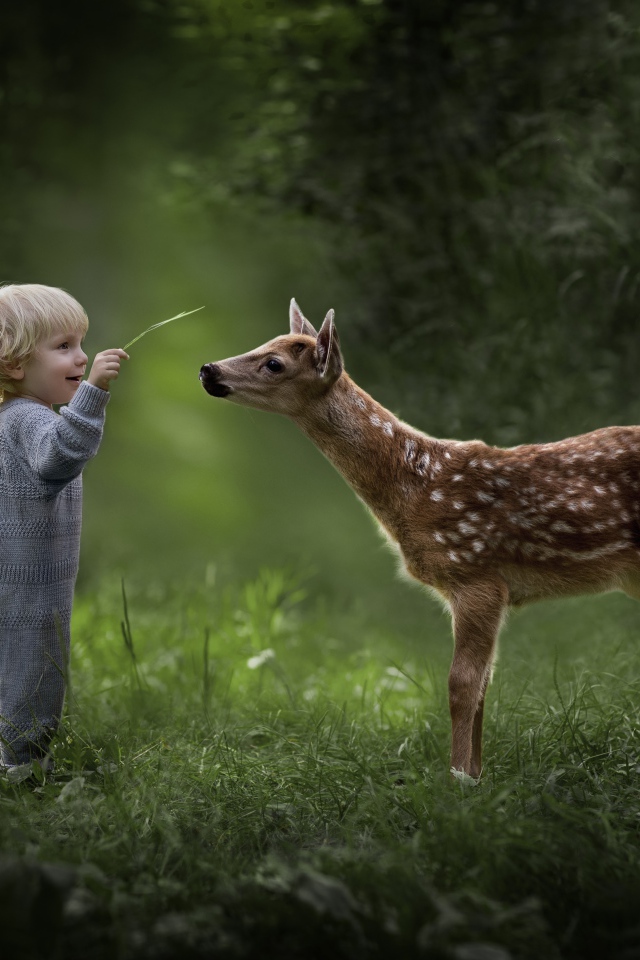 Маленький мальчик с оленем в лесу