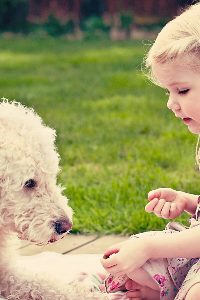 Маленькая девочка играет с собакой на траве