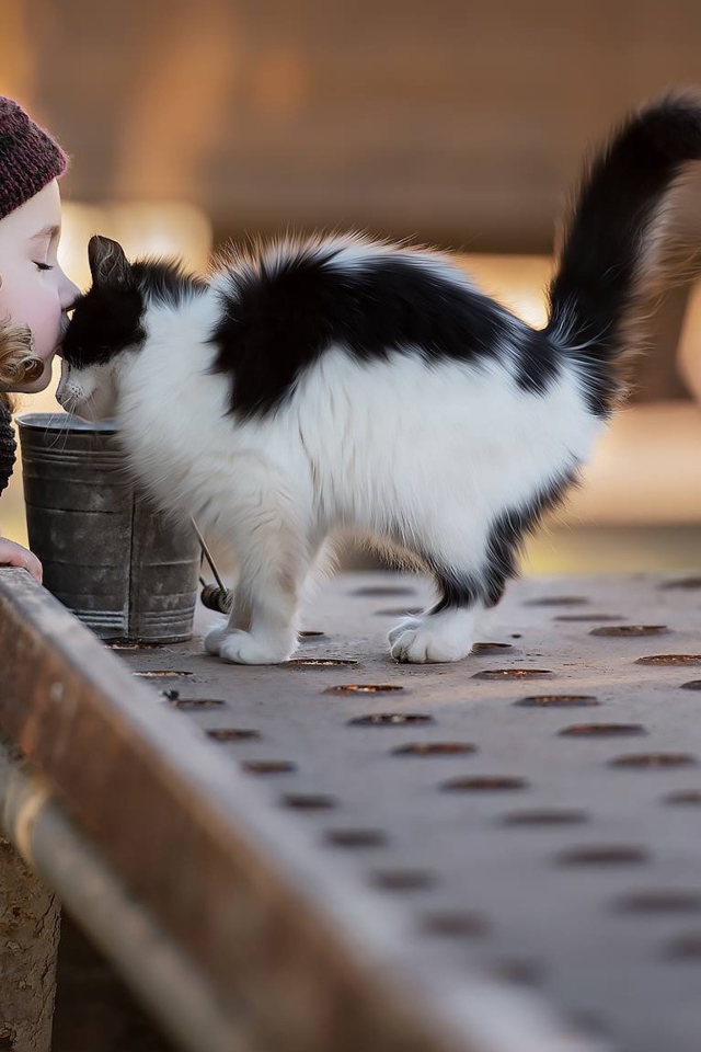 Маленькая девочка целует котенка 