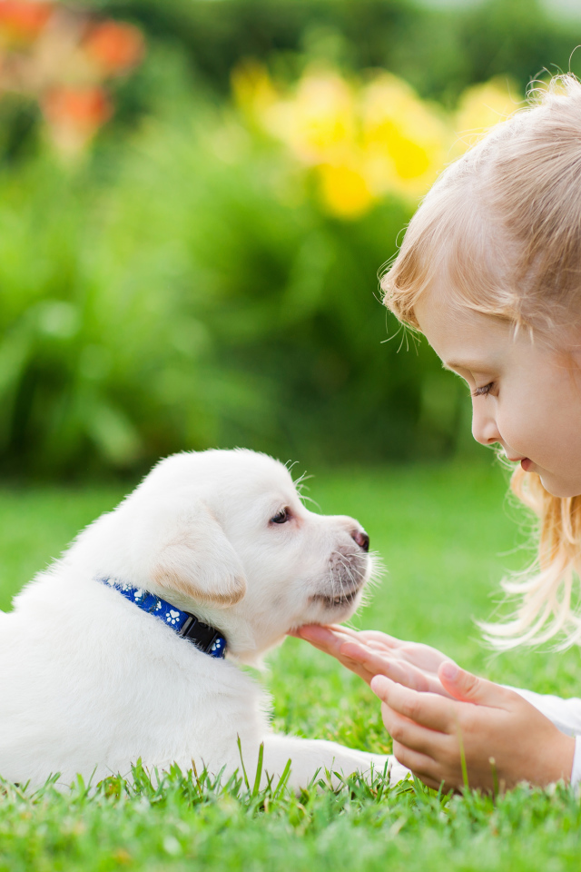 Маленькая девочка лежит на зеленой траве с щенком золотистого ретривера