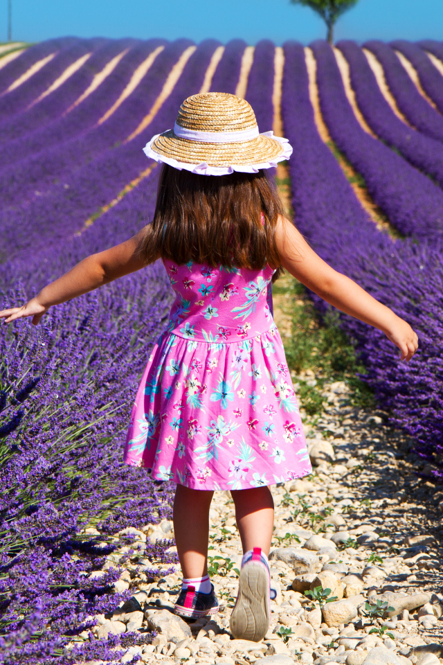 Маленькая девочка гуляет по полю с лавандой