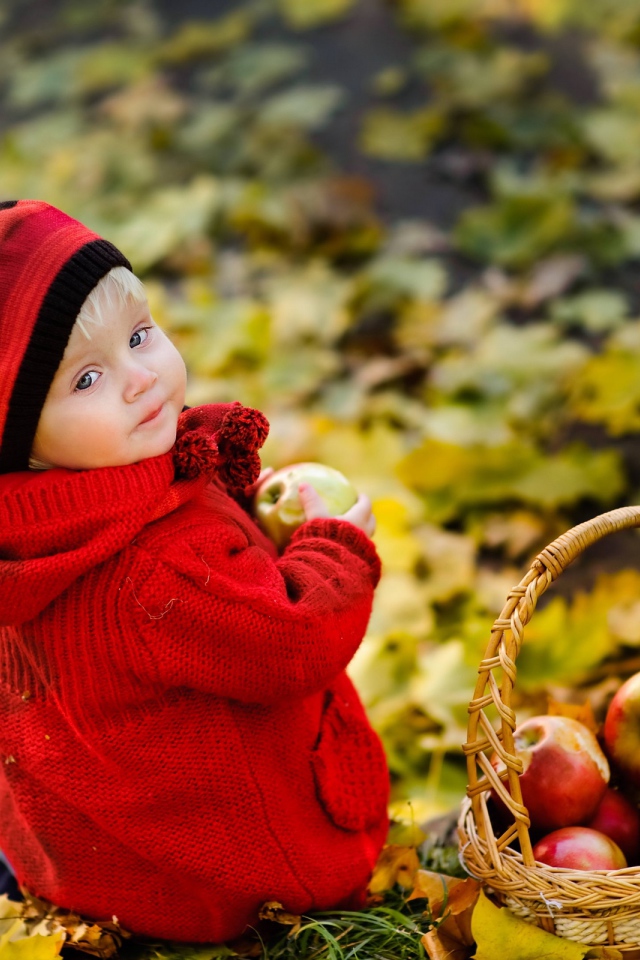 Маленькая девочка с корзиной яблок осенью
