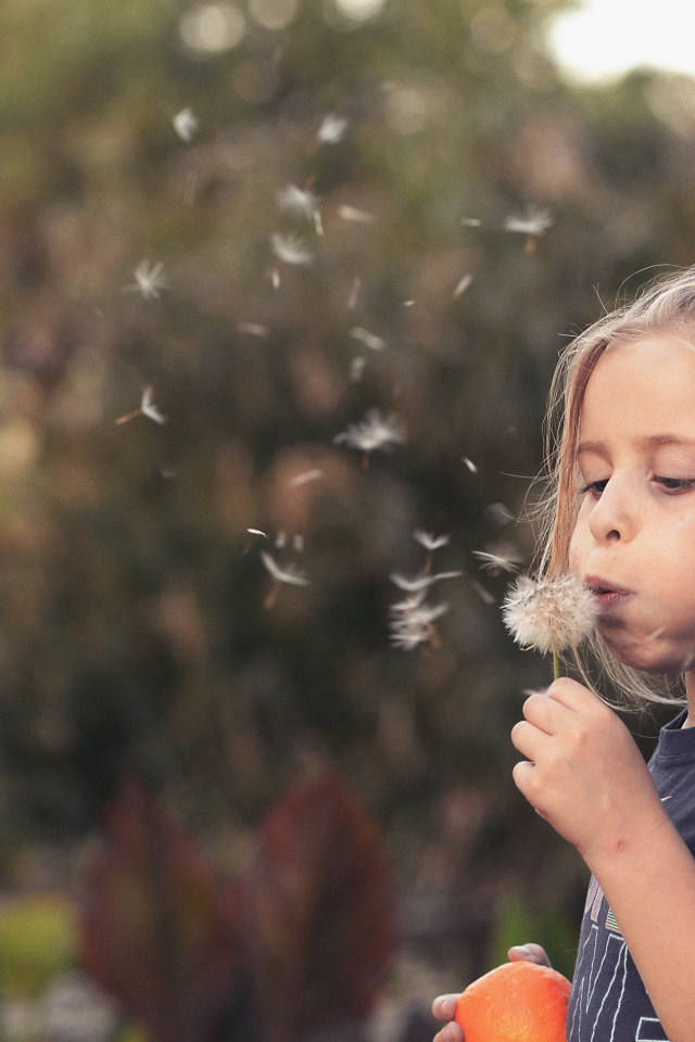 Маленькая девочка с одуванчиком в руках 