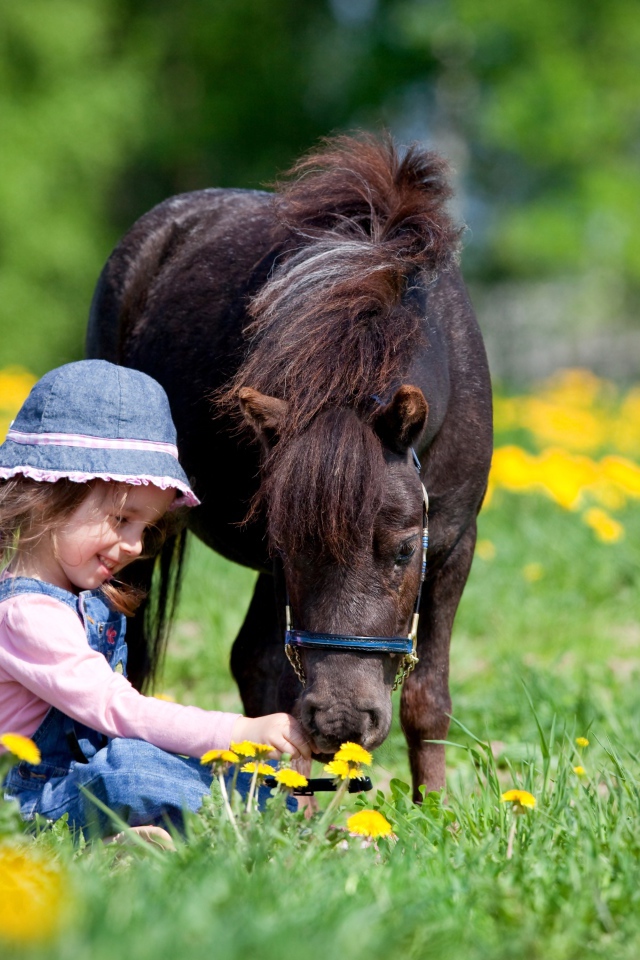 Маленькая девочка с пони сидит на поле с одуванчиками