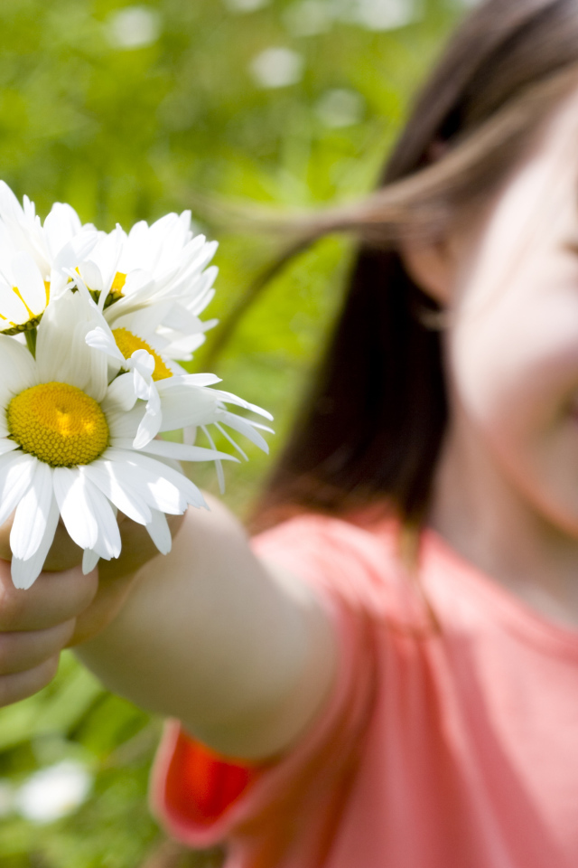 Маленькая девочка с ромашками в руке