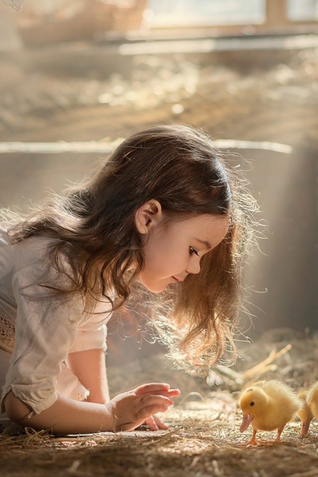Маленькая девочка с утятами в сарае 