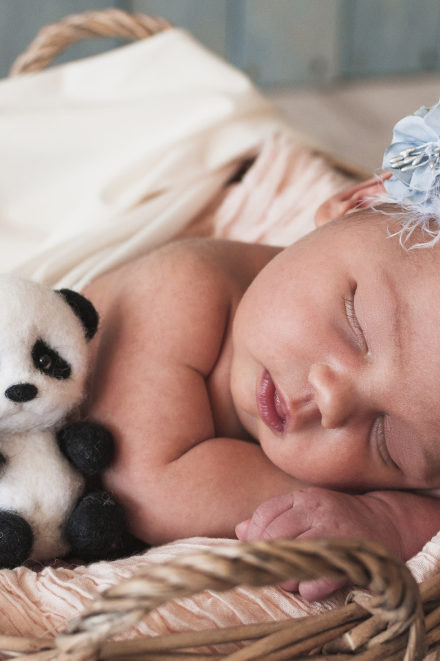 Маленькая спящая девочка с игрушечной пандой