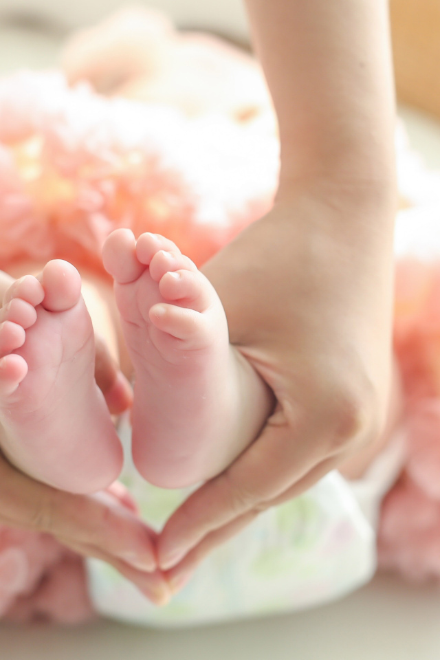 Маленькие ножки новорожденного в ладонях у мамы 