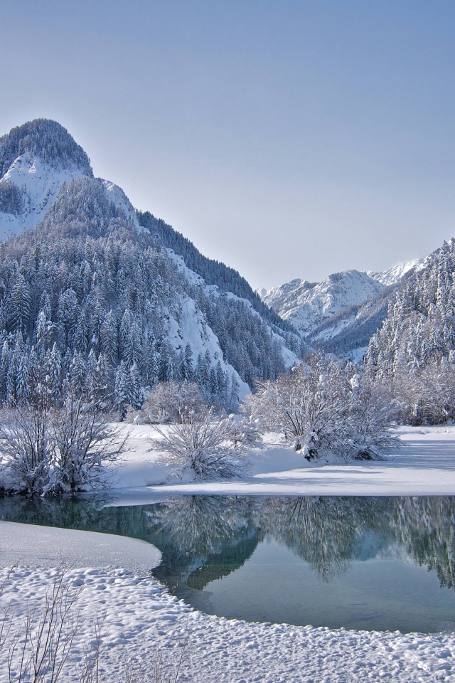 Горы с заснеженным лесом у озера зимой