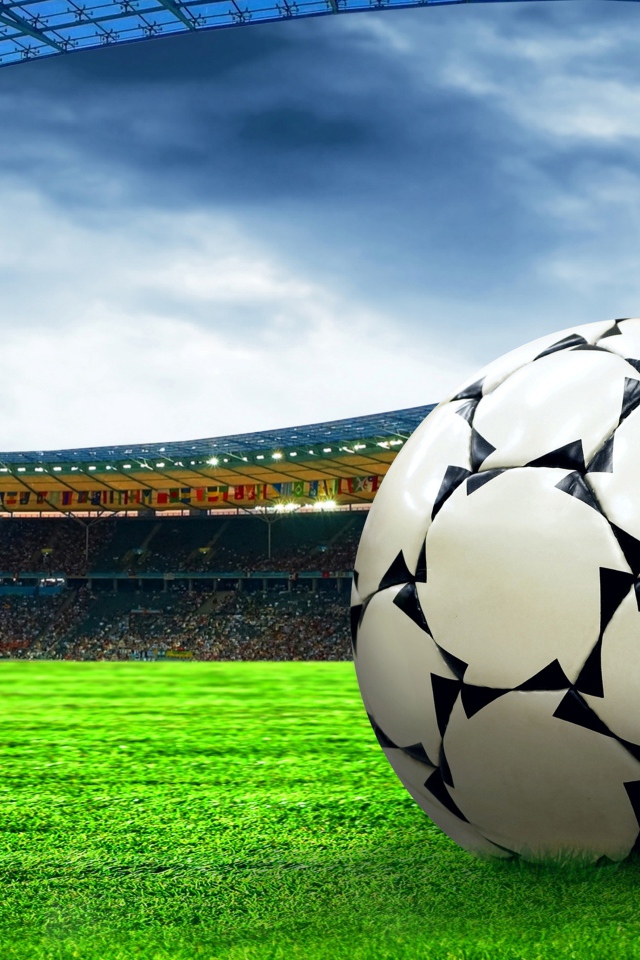 Футбольный мяч на зеленой траве стадиона