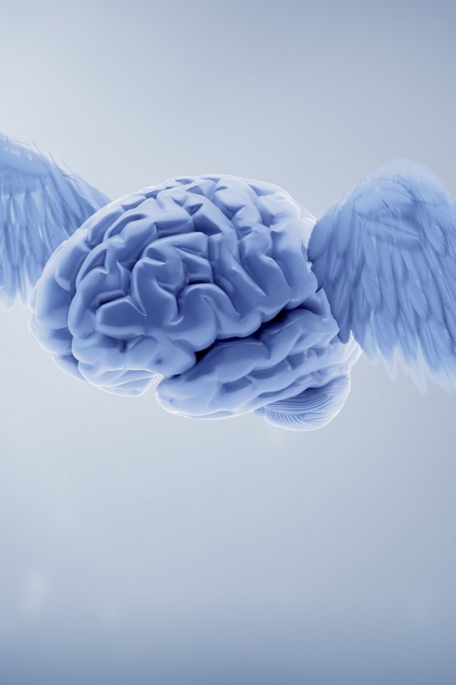 Голубой мозг с крыльями на сером фоне 3д графика