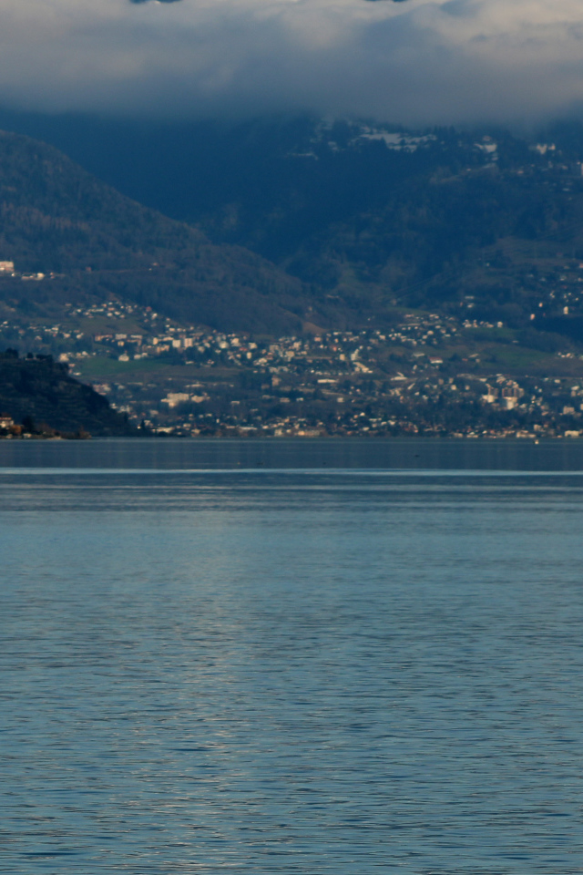 Большой белый лебедь в воде на фоне гор 
