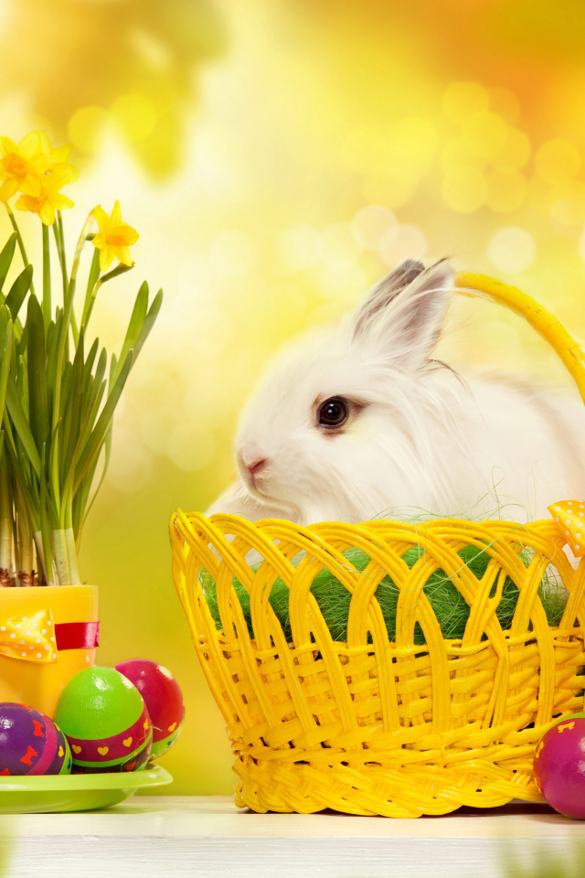 Пушистый белый кролик в корзине на столе с нарциссами и крашеными яйцами