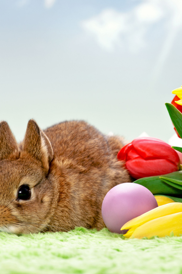 Серый декоративный кролик с букетом тюльпанов и яйцами 