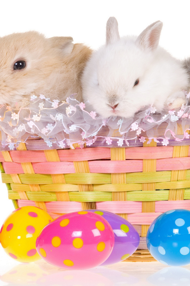 Три маленьких декоративных кролика в корзине на белом фоне с пасхальными яйцами