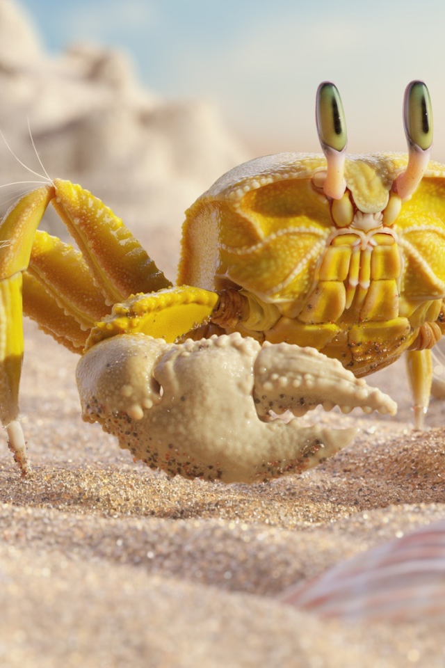 Желтый краб на белом песке с ракушками