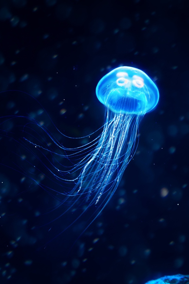 Неоновая медуза под водой 