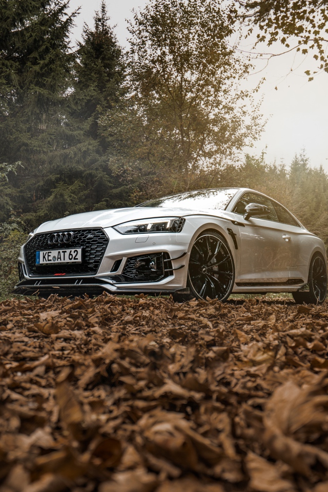 Автомобиль Audi RS5 стоит в лесу на опавших листьях 