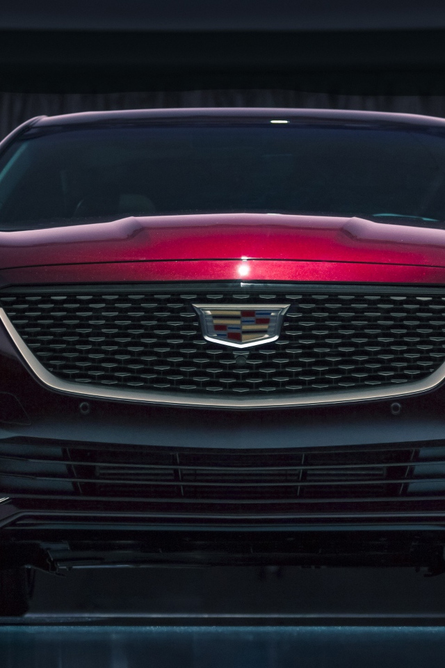 Автомобиль Cadillac CT5, 2020 года вид спереди