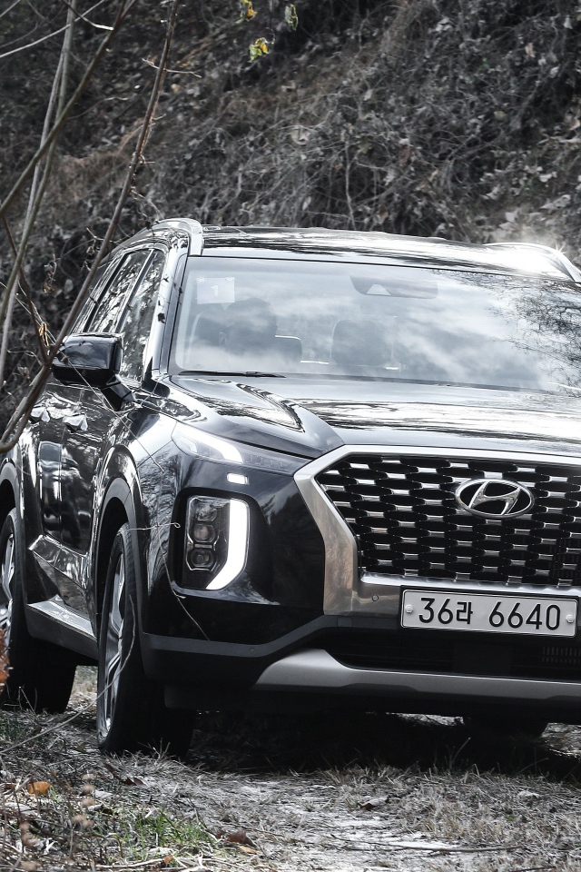 Черный внедорожник Hyundai Palisade 2019 года в зарослях 