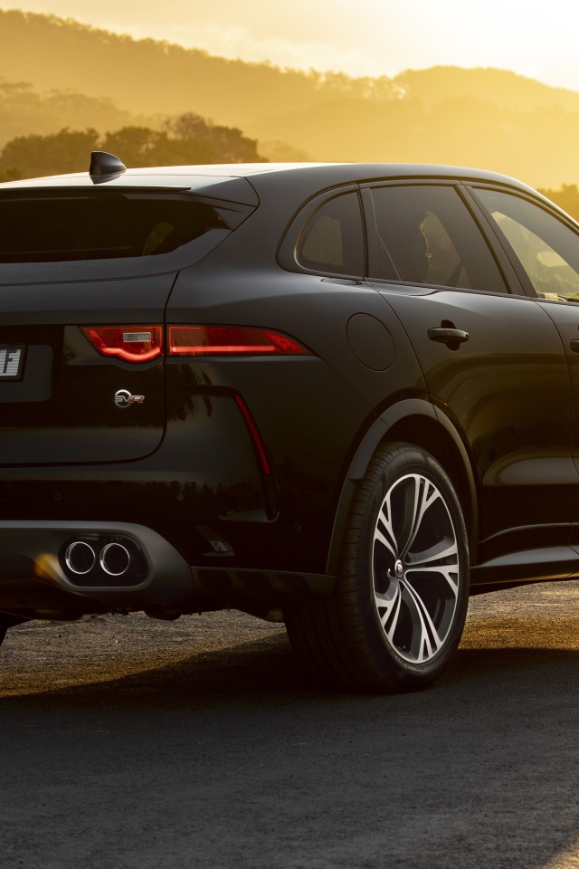 Черный стильный Jaguar F-Pace SVR 2019 года вид сзади