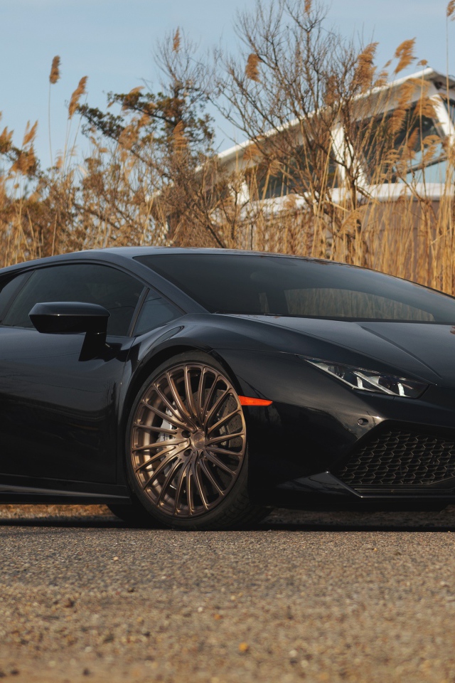 Черный автомобиль Lamborghini Huracan на фоне камыша