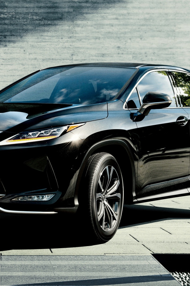 Черный автомобиль Lexus RX 450h 2019 года в гараже
