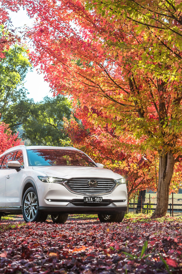 White car Mazda in the autumn park