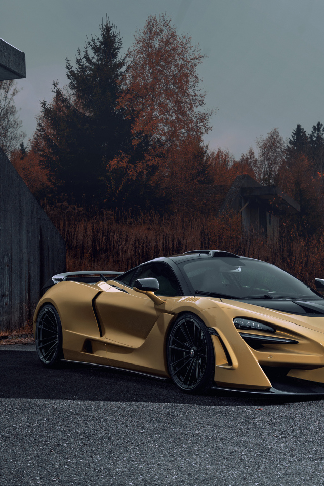 Дорогой автомобиль McLaren 720S у железных ворот