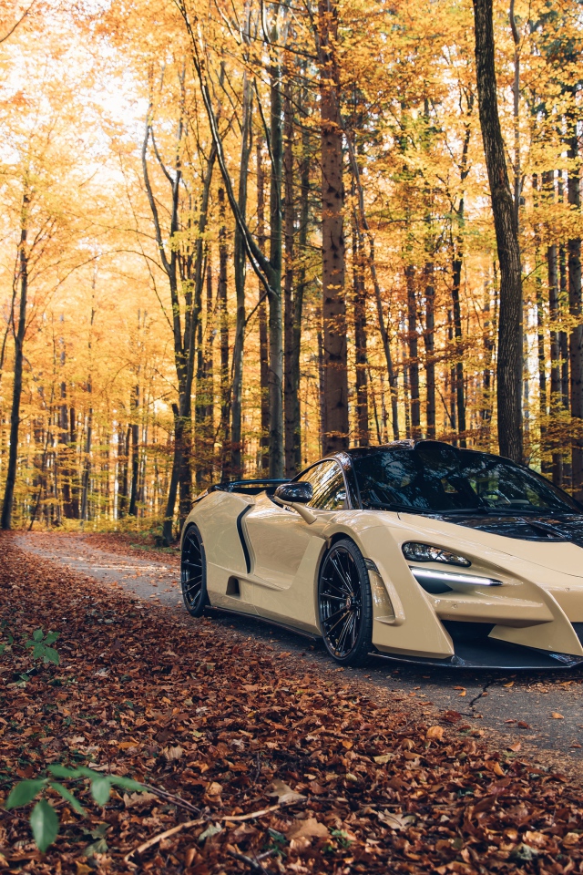 Быстрый автомобиль McLaren 720S в лесу