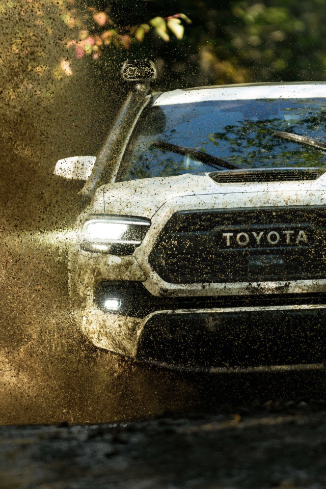 Внедорожник Toyota Tacoma, 2020 года едет по грязной воде