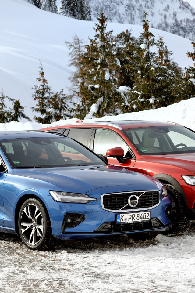 Два автомобиля Volvo V60 на фоне заснеженного леса