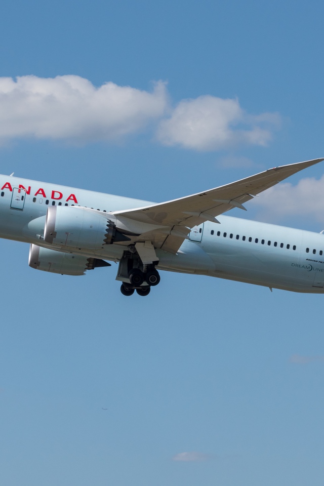 Большой пассажирский самолет Boeing 787-9 авиакомпании Air Canada в небе