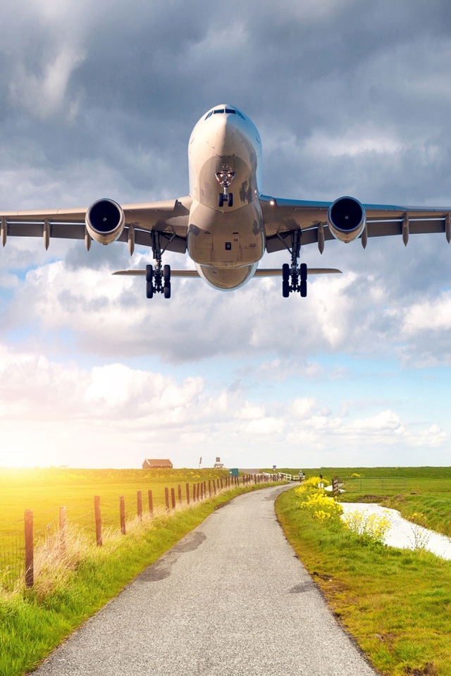 Пассажирский самолет взлетает над полем 