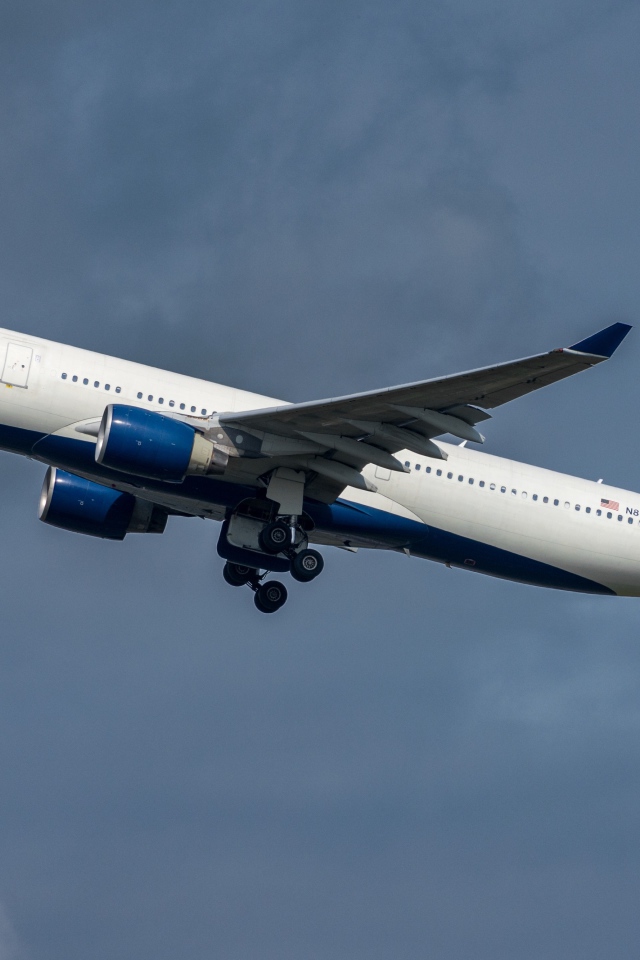 Большой пассажирский Airbus авиакомпании  Delta Air Lines