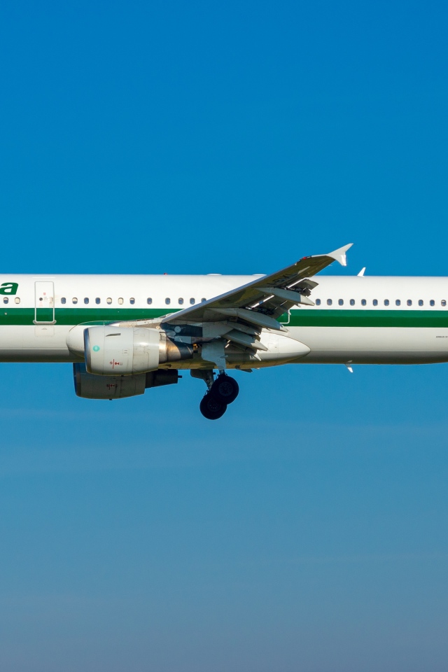 Airbus a321‑100/200. Airbus a321 самолет. А321 белый. A321‑100/200. 321.