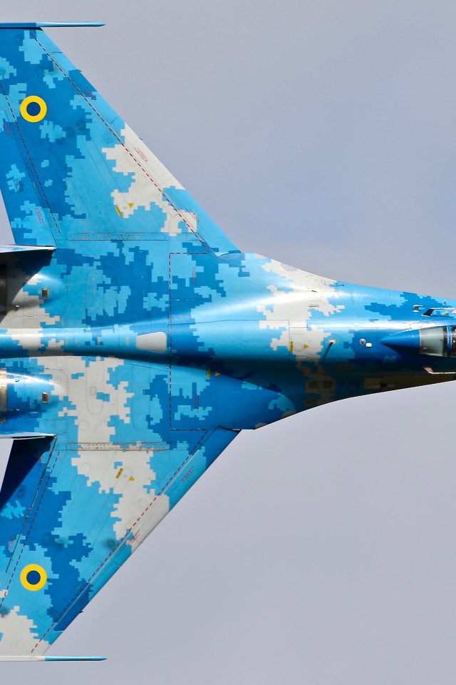 Su-27 jet fighter dry