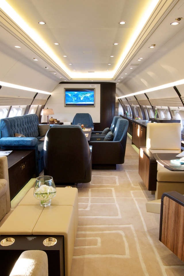 Салон самолета вип класса 