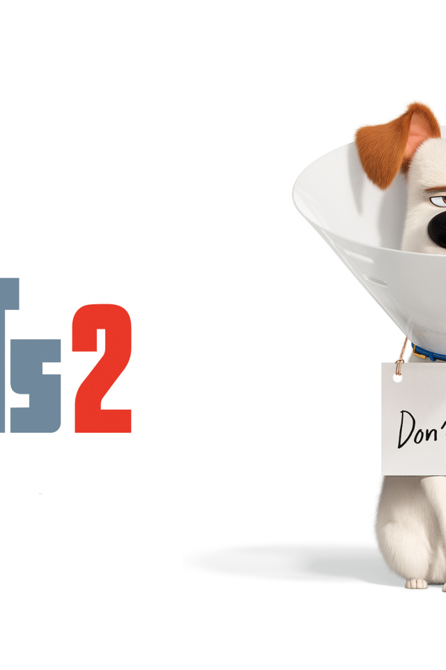 Постер мультфильма  Тайная жизнь домашних животных 2