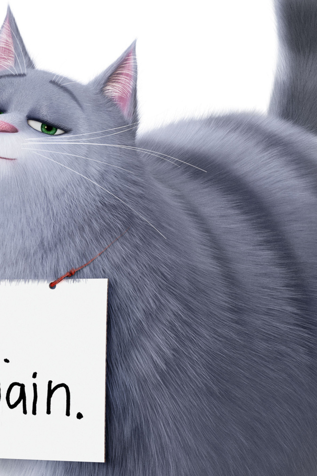 Кошка Хлоя из Тайная жизнь домашних животных 2 на белом фоне