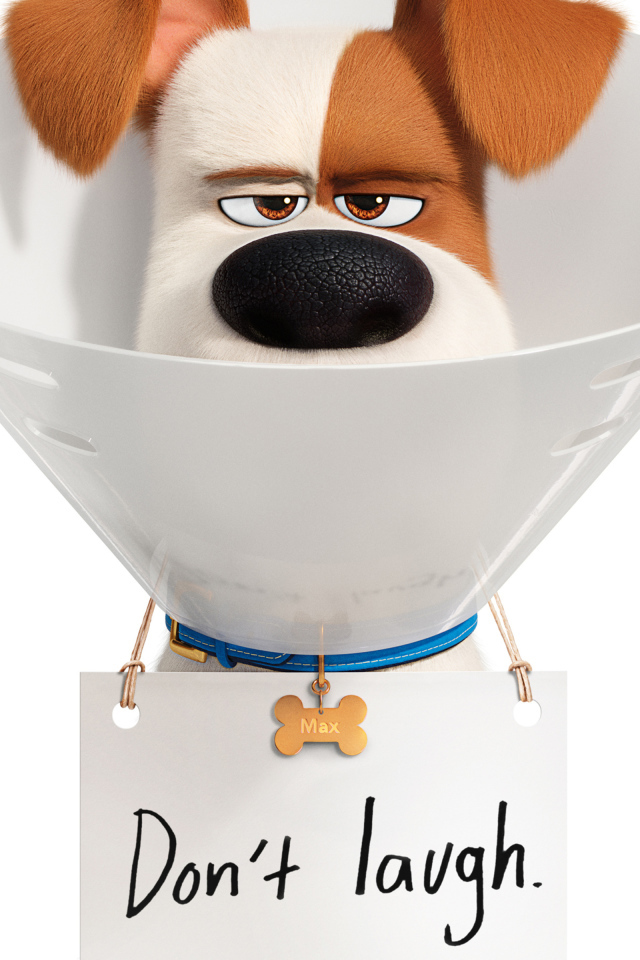 Джек-рассел-терьер Макс из мультфильма Тайная жизнь домашних животных 2